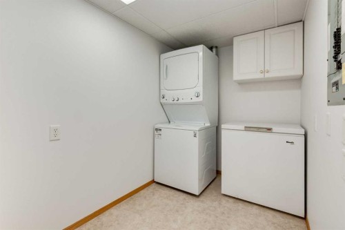244-8535 Bonaventure Drive Se, Calgary, AB - Indoor Photo Showing Laundry Room