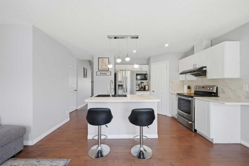 33 Saddlecrest Close Ne, Calgary, AB - Indoor Photo Showing Kitchen With Upgraded Kitchen