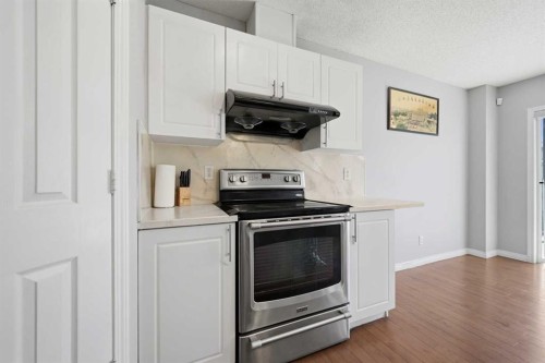 33 Saddlecrest Close Ne, Calgary, AB - Indoor Photo Showing Kitchen