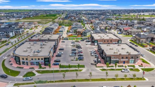 71 Savanna Park Ne, Calgary, AB 