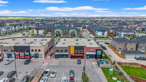 71 Savanna Park Ne, Calgary, AB 