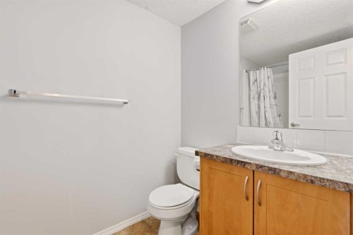2323-700 Willowbrook Road Nw, Airdrie, AB - Indoor Photo Showing Bathroom