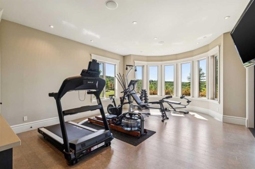 39 Red Willow Crescent West, Rural Foothills County, AB - Indoor Photo Showing Gym Room