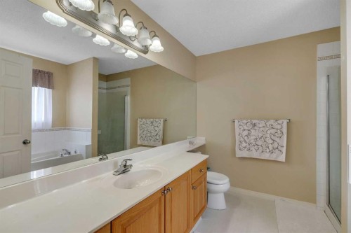 105 West Creek Pond, Chestermere, AB - Indoor Photo Showing Bathroom