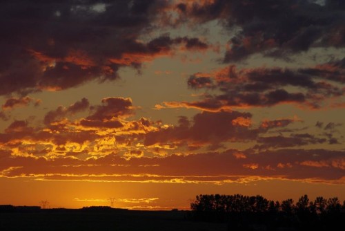 412 Harrison Court, Crossfield, AB - Outdoor With View
