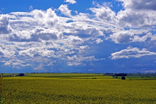 412 Harrison Court, Crossfield, AB - Outdoor With View