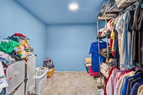 173 Martin Crossing Crescent Ne, Calgary, AB 