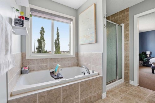 109 Evansdale Landing Nw, Calgary, AB 