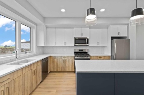 343 Belvedere Drive Se, Calgary, AB - Indoor Photo Showing Kitchen With Double Sink