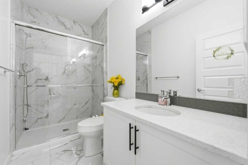 109 Homestead Crescent Ne, Calgary, AB - Indoor Photo Showing Bathroom