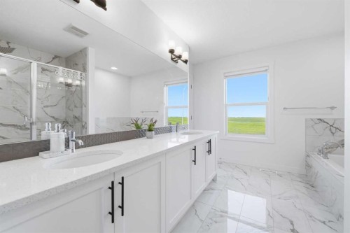 109 Homestead Crescent Ne, Calgary, AB - Indoor Photo Showing Bathroom