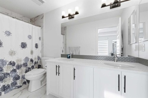 109 Homestead Crescent Ne, Calgary, AB - Indoor Photo Showing Bathroom