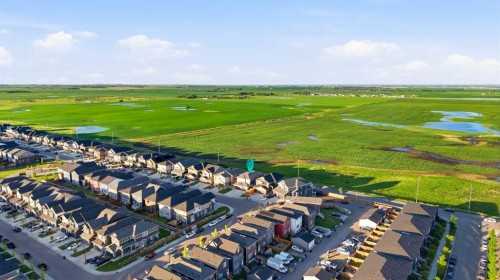 109 Homestead Crescent Ne, Calgary, AB - Outdoor With View