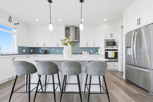 109 Homestead Crescent Ne, Calgary, AB - Indoor Photo Showing Kitchen With Upgraded Kitchen