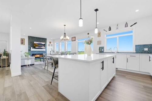 109 Homestead Crescent Ne, Calgary, AB - Indoor Photo Showing Kitchen With Upgraded Kitchen