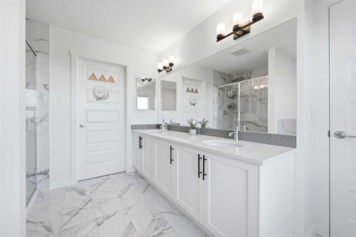 109 Homestead Crescent Ne, Calgary, AB - Indoor Photo Showing Bathroom