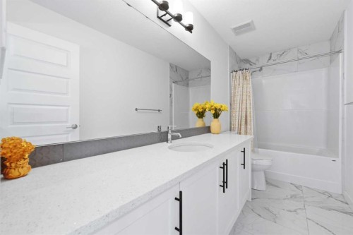 109 Homestead Crescent Ne, Calgary, AB - Indoor Photo Showing Bathroom