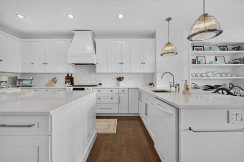 232 Copperpond Circle Se, Calgary, AB - Indoor Photo Showing Kitchen With Upgraded Kitchen