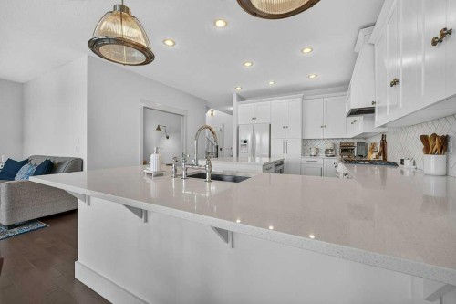 232 Copperpond Circle Se, Calgary, AB - Indoor Photo Showing Kitchen With Upgraded Kitchen