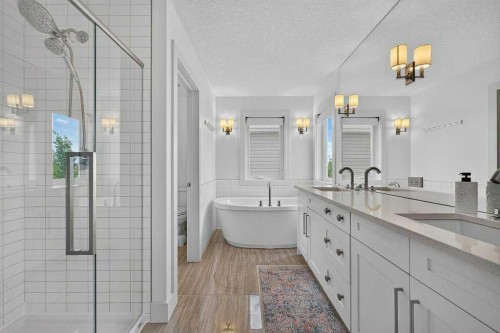 232 Copperpond Circle Se, Calgary, AB - Indoor Photo Showing Bathroom
