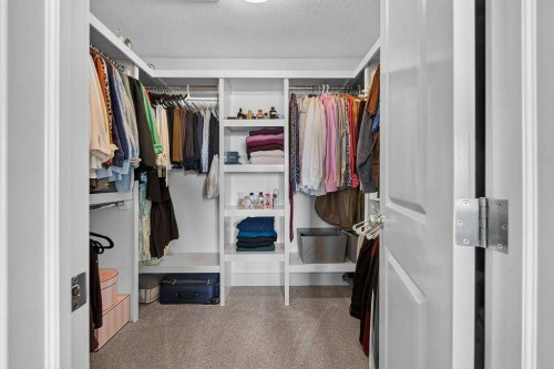 232 Copperpond Circle Se, Calgary, AB - Indoor With Storage
