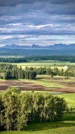 6029 Township Road 332 Rural Mountain View County, AB T0M 1X0