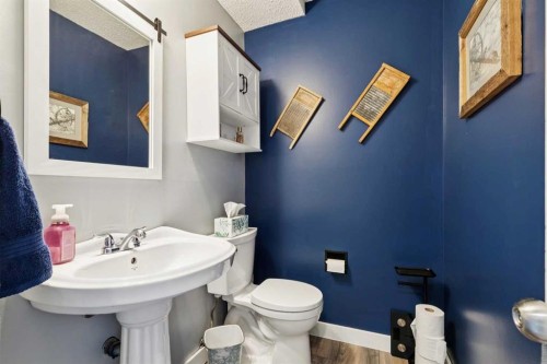 113-107 Elm Place, Okotoks, AB - Indoor Photo Showing Bathroom