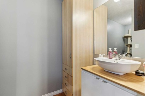 113-107 Elm Place, Okotoks, AB - Indoor Photo Showing Bathroom