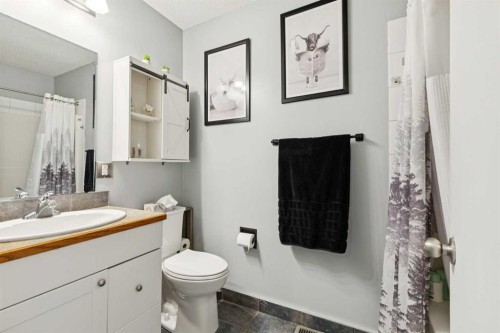113-107 Elm Place, Okotoks, AB - Indoor Photo Showing Bathroom