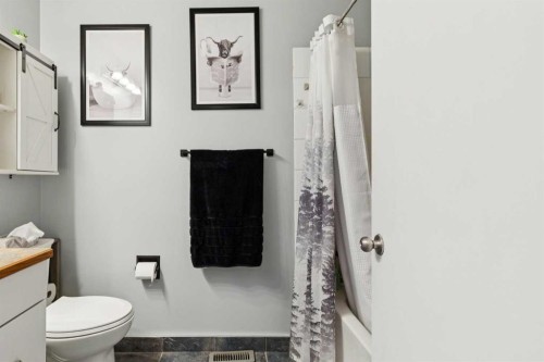 113-107 Elm Place, Okotoks, AB - Indoor Photo Showing Bathroom
