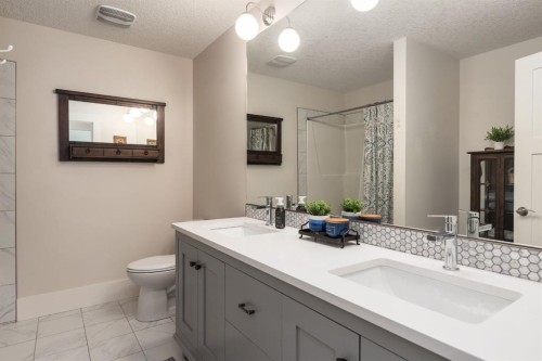 313 Centre Avenue Se, Airdrie, AB - Indoor Photo Showing Bathroom