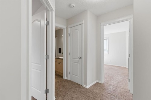 241 Somerside Close Sw, Calgary, AB 