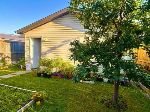 31 Skyview Springs Rise Ne, Calgary, AB 