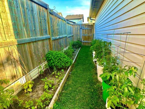 31 Skyview Springs Rise Ne, Calgary, AB 