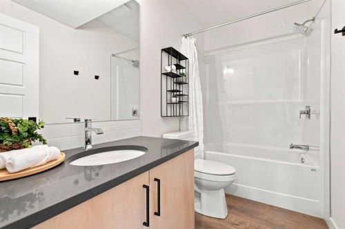 826 Alpine Drive Sw, Calgary, AB - Indoor Photo Showing Bathroom