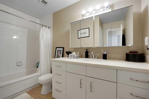4301-315 Southampton Drive Sw, Calgary, AB - Indoor Photo Showing Bathroom