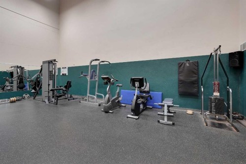 4301-315 Southampton Drive Sw, Calgary, AB - Indoor Photo Showing Gym Room