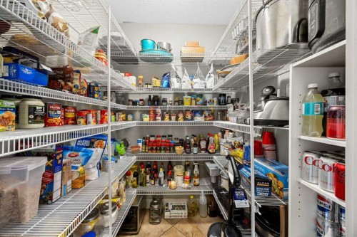 469 Rainbow Falls Way, Chestermere, AB - Indoor With Storage
