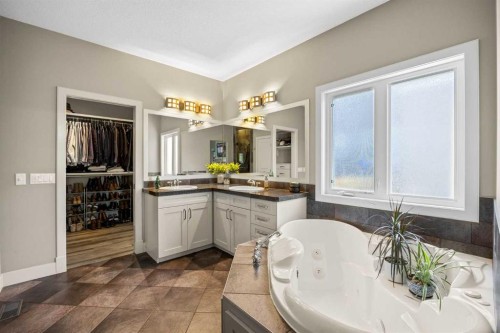 469 Rainbow Falls Way, Chestermere, AB - Indoor Photo Showing Bathroom