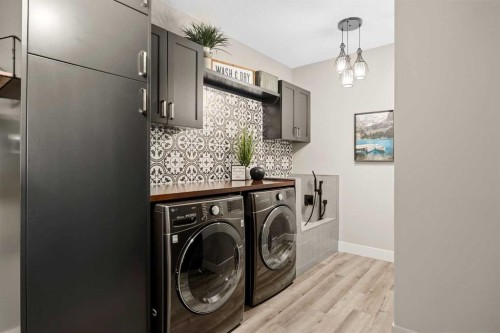 469 Rainbow Falls Way, Chestermere, AB - Indoor Photo Showing Laundry Room