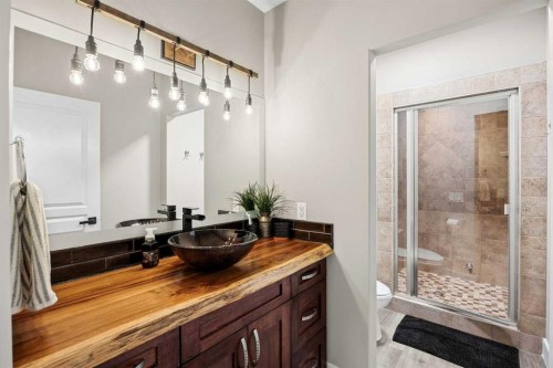 469 Rainbow Falls Way, Chestermere, AB - Indoor Photo Showing Bathroom