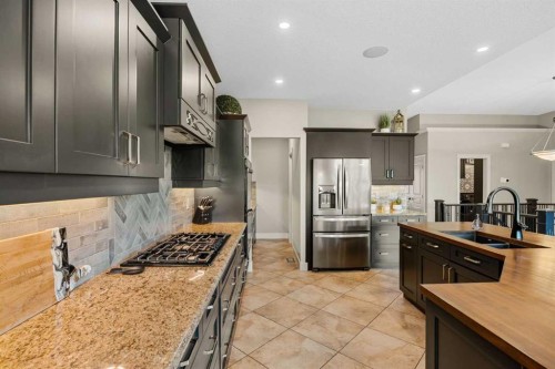 469 Rainbow Falls Way, Chestermere, AB - Indoor Photo Showing Kitchen With Upgraded Kitchen