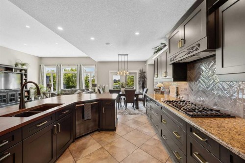469 Rainbow Falls Way, Chestermere, AB - Indoor Photo Showing Kitchen With Double Sink With Upgraded Kitchen