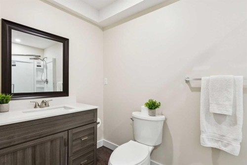 257 Cougartown Circle Sw, Calgary, AB - Indoor Photo Showing Bathroom