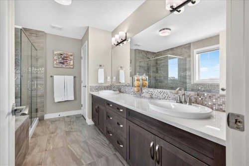 69 Cimarron Springs Circle, Okotoks, AB - Indoor Photo Showing Bathroom