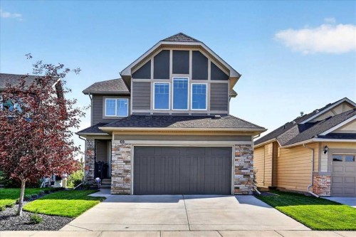 69 Cimarron Springs Circle, Okotoks, AB - Outdoor