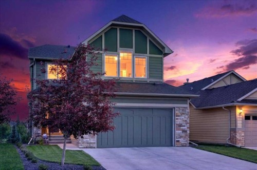 69 Cimarron Springs Circle, Okotoks, AB - Outdoor