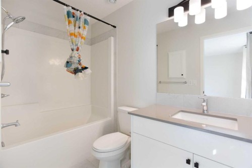 112 Lucas Street Nw, Calgary, AB - Indoor Photo Showing Bathroom