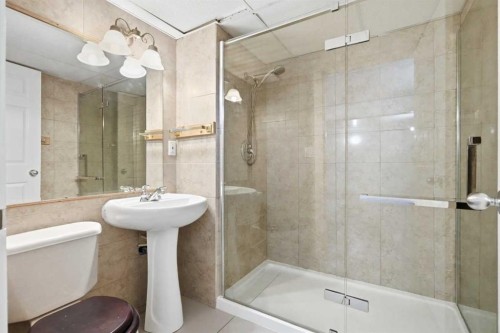 66 Arbour Wood Mews Nw, Calgary, AB - Indoor Photo Showing Bathroom