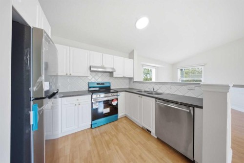 33 Martin Crossing Green Ne, Calgary, AB - Indoor Photo Showing Kitchen With Stainless Steel Kitchen With Double Sink